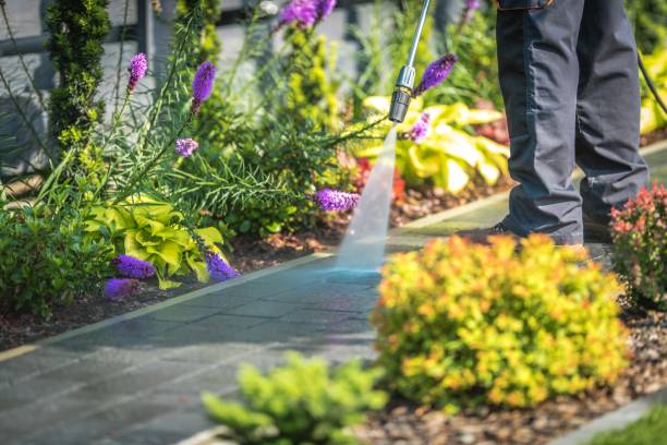 Best Animal Enclosure Cleaning  in Ormond By The Sea, FL