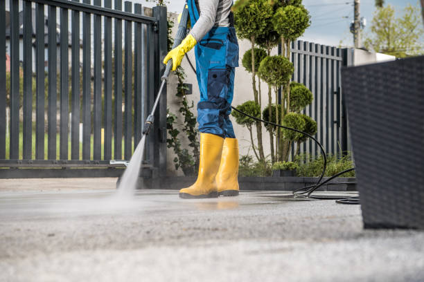 Best Patio and Deck Pressure Washing  in Ormond By The Sea, FL