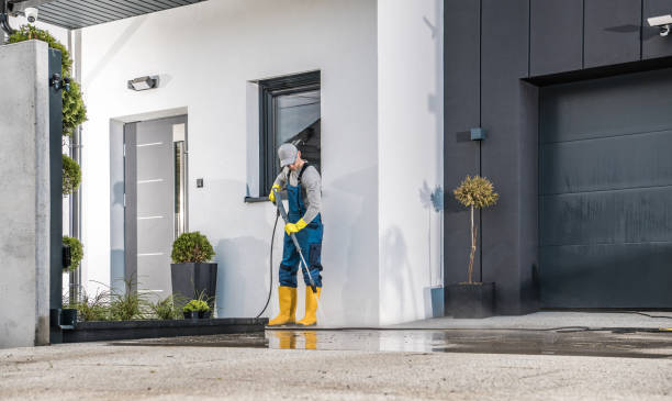 Best Pool Deck Cleaning  in Ormond By The Sea, FL
